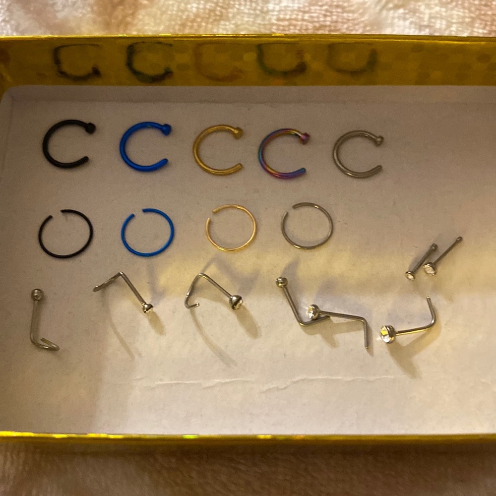 17 piece Stainless Steel Variety Nose Rings
